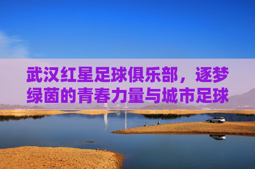 武汉红星足球俱乐部，逐梦绿茵的青春力量与城市足球新篇章，武汉红星足球俱乐部，逐梦绿茵的青春力量与城市足球新篇章