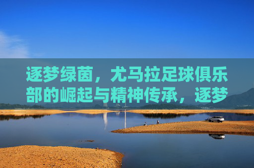 逐梦绿茵,尤马拉足球俱乐部的崛起与精神传承,逐梦绿茵,尤马拉足球俱乐部的崛起与精神传承