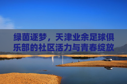 绿茵逐梦，天津业余足球俱乐部的社区活力与青春绽放，绿茵逐梦，天津业余足球俱乐部的社区活力与青春绽放