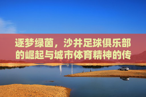逐梦绿茵,沙井足球俱乐部的崛起与城市体育精神的传承,逐梦绿茵,沙井足球俱乐部的崛起与城市体育精神的传承
