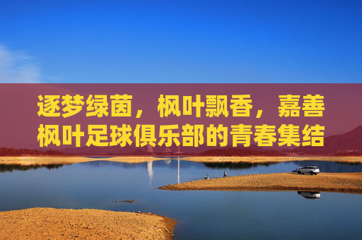 逐梦绿茵,枫叶飘香,嘉善枫叶足球俱乐部的青春集结与足球热爱的传承,逐梦绿茵,枫叶飘香,嘉善枫叶足球俱乐部的青春集结与足球热爱的传承