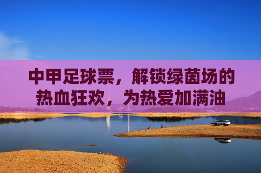 中甲足球票,解锁绿茵场的热血狂欢,为热爱加满油