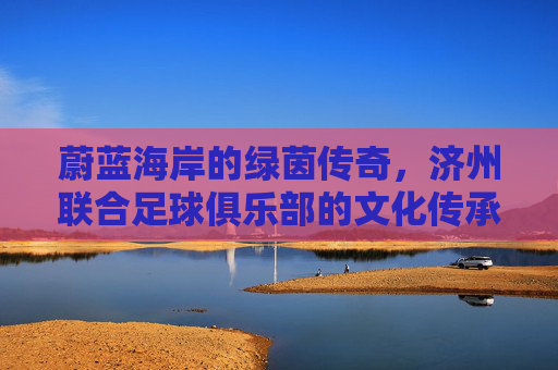 蔚蓝海岸的绿茵传奇，济州联合足球俱乐部的文化传承与竞技征程，蔚蓝海岸的绿茵传奇，济州联合足球俱乐部的文化传承与竞技征程