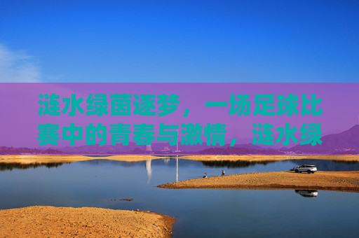 涟水绿茵逐梦，一场足球比赛中的青春与激情，涟水绿茵逐梦，一场足球比赛中的青春与激情
