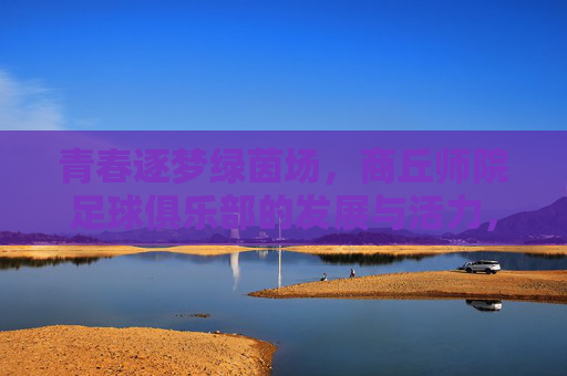 青春逐梦绿茵场，商丘师院足球俱乐部的发展与活力，青春逐梦绿茵场，商丘师院足球俱乐部的发展与活力