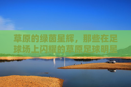 草原的绿茵星辉,那些在足球场上闪耀的草原足球明星,草原的绿茵星辉,那些在足球场上闪耀的草原足球明星