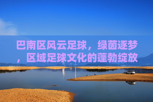 巴南区风云足球，绿茵逐梦，区域足球文化的蓬勃绽放，巴南区风云足球，绿茵逐梦，区域足球文化的蓬勃绽放
