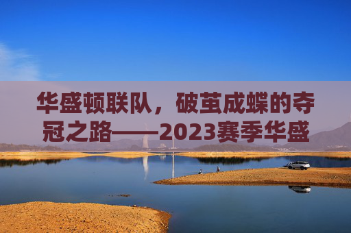 华盛顿联队,破茧成蝶的夺冠之路——2023赛季华盛顿足球荣耀加冕记,华盛顿联队,破茧成蝶的夺冠之路——2023赛季华盛顿足球荣耀加冕记