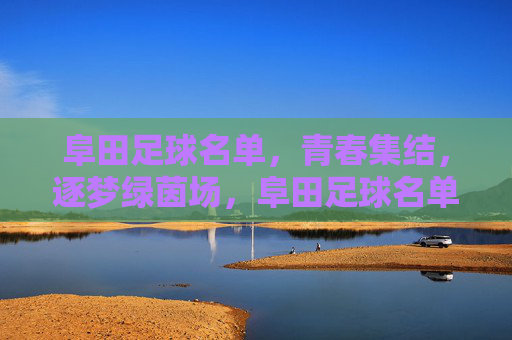 阜田足球名单，青春集结，逐梦绿茵场，阜田足球名单，青春集结，逐梦绿茵场