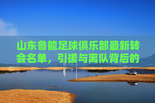 山东鲁能足球俱乐部最新转会名单,引援与离队背后的战术考量与市场逻辑,山东鲁能最新转会名单,引援与离队背后的战术考量与市场逻辑