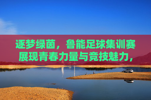 逐梦绿茵，鲁能足球集训赛展现青春力量与竞技魅力，逐梦绿茵，鲁能足球集训赛展现青春力量与竞技魅力