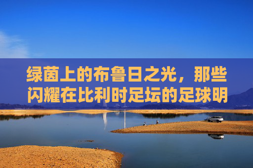 绿茵上的布鲁日之光,那些闪耀在比利时足坛的足球明星,绿茵上的布鲁日之光,那些闪耀在比利时足坛的足球明星