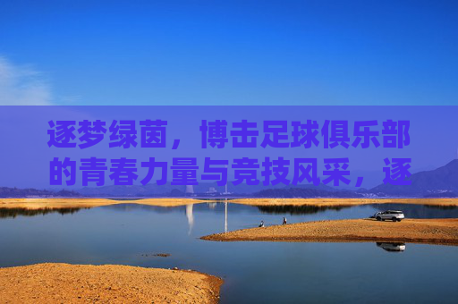 逐梦绿茵，博击足球俱乐部的青春力量与竞技风采，逐梦绿茵，博击足球俱乐部的青春力量与竞技风采