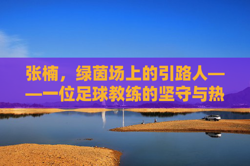 张楠，绿茵场上的引路人——一位足球教练的坚守与热爱，张楠，绿茵场上的引路人——一位足球教练的坚守与热爱