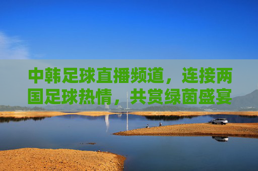 中韩足球直播频道，连接两国足球热情，共赏绿茵盛宴的数字桥梁，中韩足球直播频道，连接两国足球热情，共赏绿茵盛宴的数字桥梁