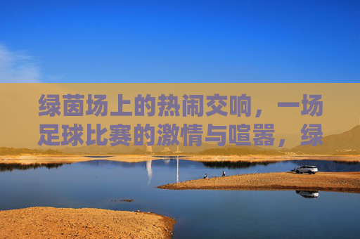 绿茵场上的热闹交响，一场足球比赛的激情与喧嚣，绿茵场上的热闹交响，一场足球比赛的激情与喧嚣