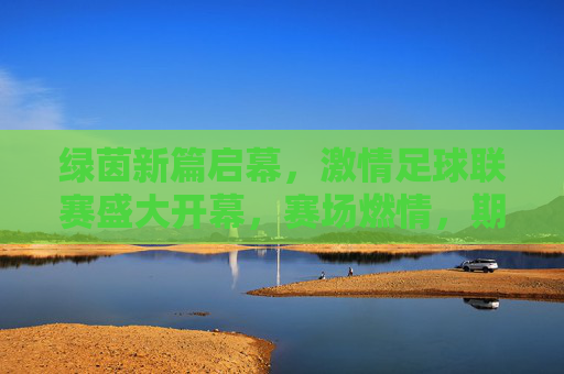 绿茵新篇启幕，激情足球联赛盛大开幕，赛场燃情，期待精彩对决，绿茵新篇启幕，激情足球联赛盛大开幕，赛场燃情，期待精彩对决