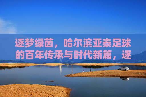逐梦绿茵，哈尔滨亚泰足球的百年传承与时代新篇，逐梦绿茵，哈尔滨亚泰足球的百年传承与时代新篇