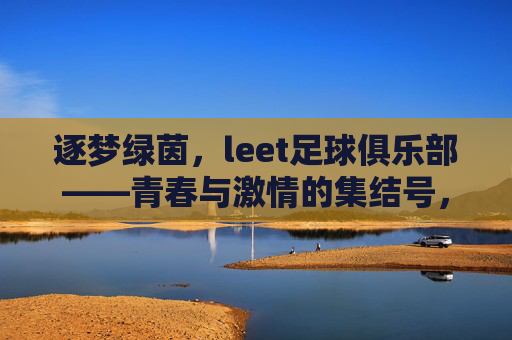 逐梦绿茵，leet足球俱乐部——青春与激情的集结号，逐梦绿茵，leet足球俱乐部——青春与激情的集结号