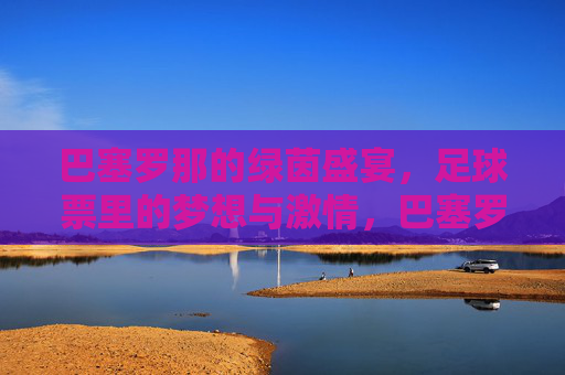 巴塞罗那的绿茵盛宴，足球票里的梦想与激情，巴塞罗那的绿茵盛宴，足球票里的梦想与激情