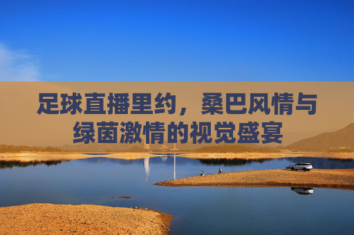 足球直播里约，桑巴风情与绿茵激情的视觉盛宴
