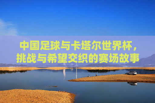 中国足球与卡塔尔世界杯，挑战与希望交织的赛场故事