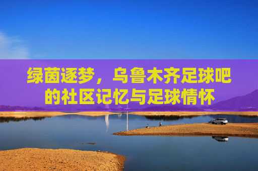 绿茵逐梦，乌鲁木齐足球吧的社区记忆与足球情怀