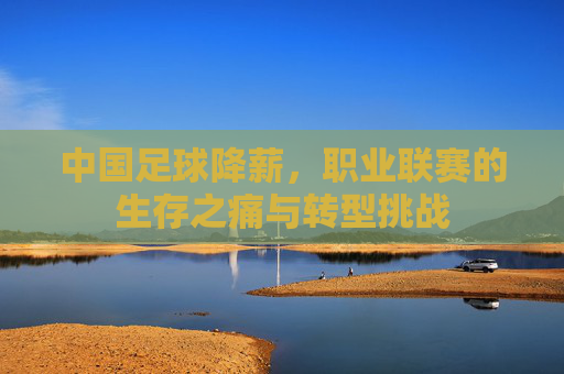 中国足球降薪，职业联赛的生存之痛与转型挑战