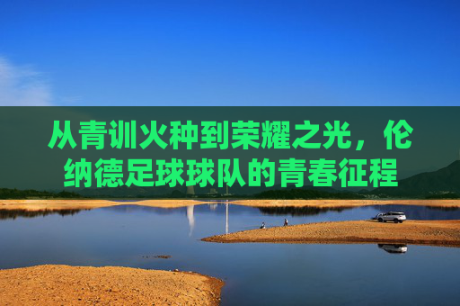 从青训火种到荣耀之光,伦纳德足球球队的青春征程