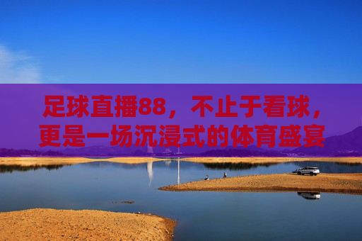 足球直播88,不止于看球,更是一场沉浸式的体育盛宴,足球直播88,不止于看球,一场沉浸式体育盛宴