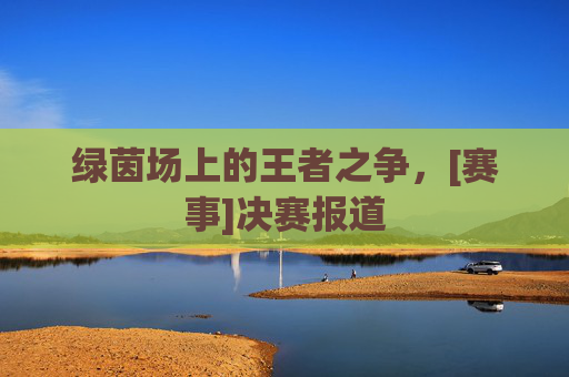 绿茵场上的王者之争，[赛事]决赛报道