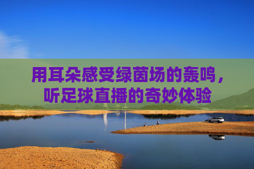 用耳朵感受绿茵场的轰鸣,听足球直播的奇妙体验