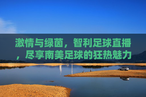 激情与绿茵，智利足球直播，尽享南美足球的狂热魅力