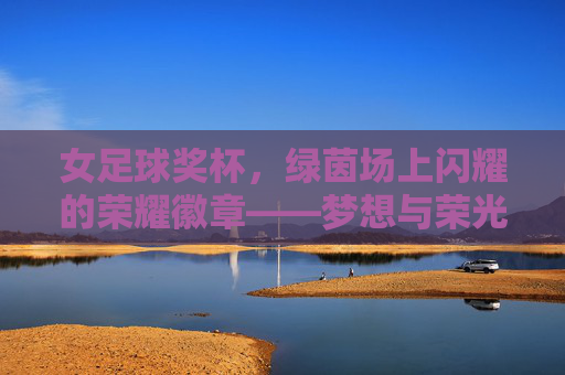 女足球奖杯,绿茵场上闪耀的荣耀徽章——梦想与荣光的见证者
