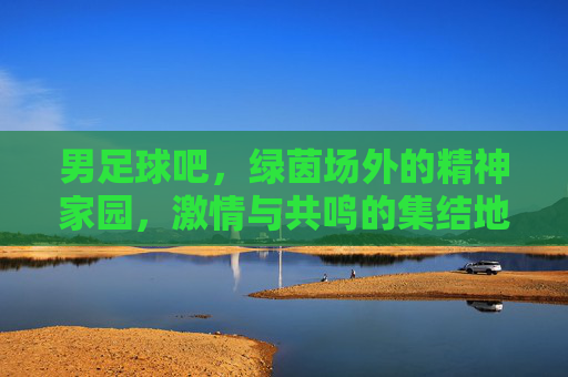 男足球吧,绿茵场外的精神家园,激情与共鸣的集结地