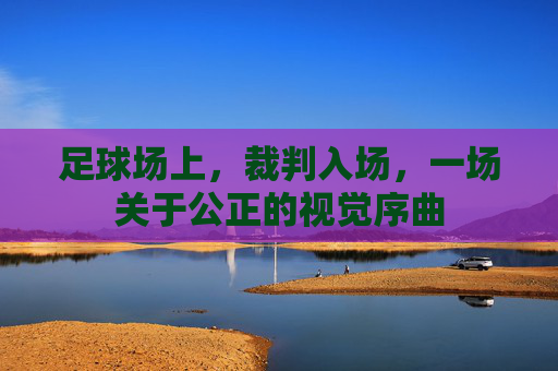 足球场上，裁判入场，一场关于公正的视觉序曲