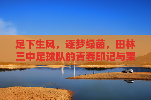 足下生风,逐梦绿茵,田林三中足球队的青春印记与荣耀之路