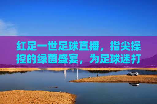 红足一世足球直播,指尖操控的绿茵盛宴,为足球迷打造的实时观赛新体验