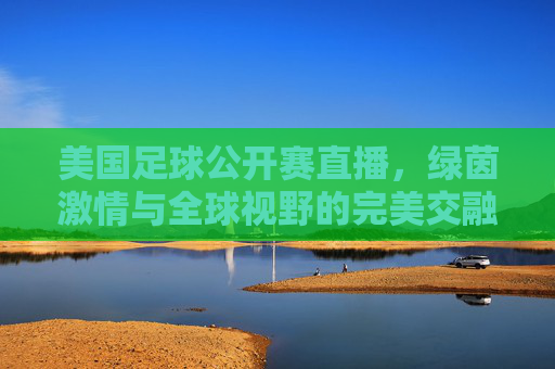 美国足球公开赛直播，绿茵激情与全球视野的完美交融
