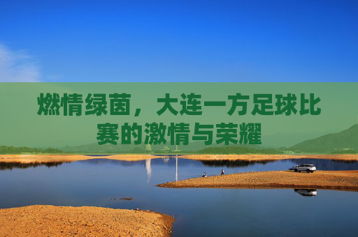 燃情绿茵,大连一方足球比赛的激情与荣耀