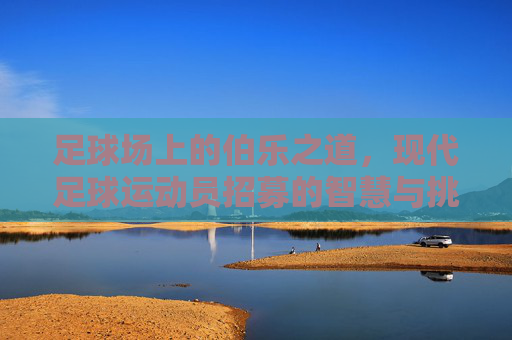 足球场上的伯乐之道，现代足球运动员招募的智慧与挑战，足球场上的伯乐之道，现代足球运动员招募的智慧与挑战