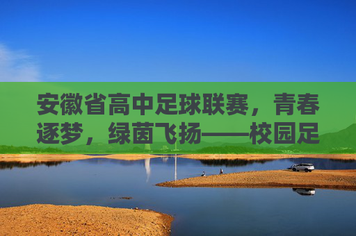 安徽省高中足球联赛，青春逐梦，绿茵飞扬——校园足球的活力绽放，安徽省高中足球联赛，青春逐梦，绿茵飞扬——校园足球的活力绽放
