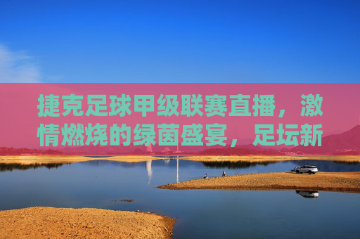 捷克足球甲级联赛直播，激情燃烧的绿茵盛宴，足坛新秀与经典对决的视觉盛宴，捷克足球甲级联赛直播，激情燃烧的绿茵盛宴，新秀与经典对决的视觉盛宴