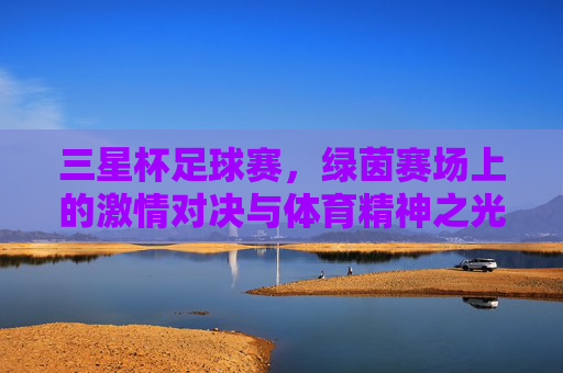 三星杯足球赛，绿茵赛场上的激情对决与体育精神之光，三星杯足球赛，绿茵赛场激情对决与体育精神之光