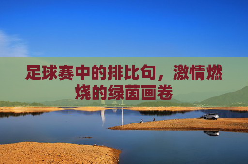 足球赛中的排比句，激情燃烧的绿茵画卷