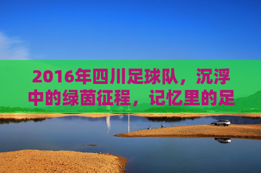 2016年四川足球队，沉浮中的绿茵征程，记忆里的足球温度，2016年四川足球队，沉浮中的绿茵征程，记忆里的足球温度