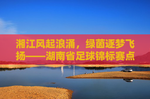 湘江风起浪涌，绿茵逐梦飞扬——湖南省足球锦标赛点燃青春热血，谱写湘足球事业新篇章