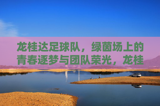 龙桂达足球队,绿茵场上的青春逐梦与团队荣光,龙桂达足球队,绿茵场上的青春逐梦与团队荣光