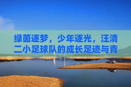 绿茵逐梦，少年逐光，汪清二小足球队的成长足迹与青春风采