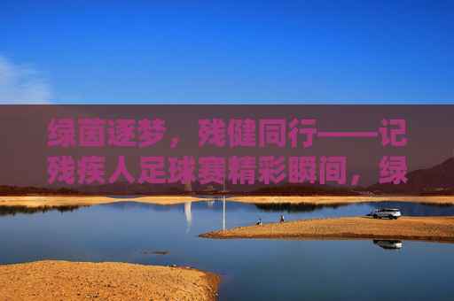 绿茵逐梦，残健同行——记残疾人足球赛精彩瞬间，绿茵逐梦，残健同行——记残疾人足球赛精彩瞬间